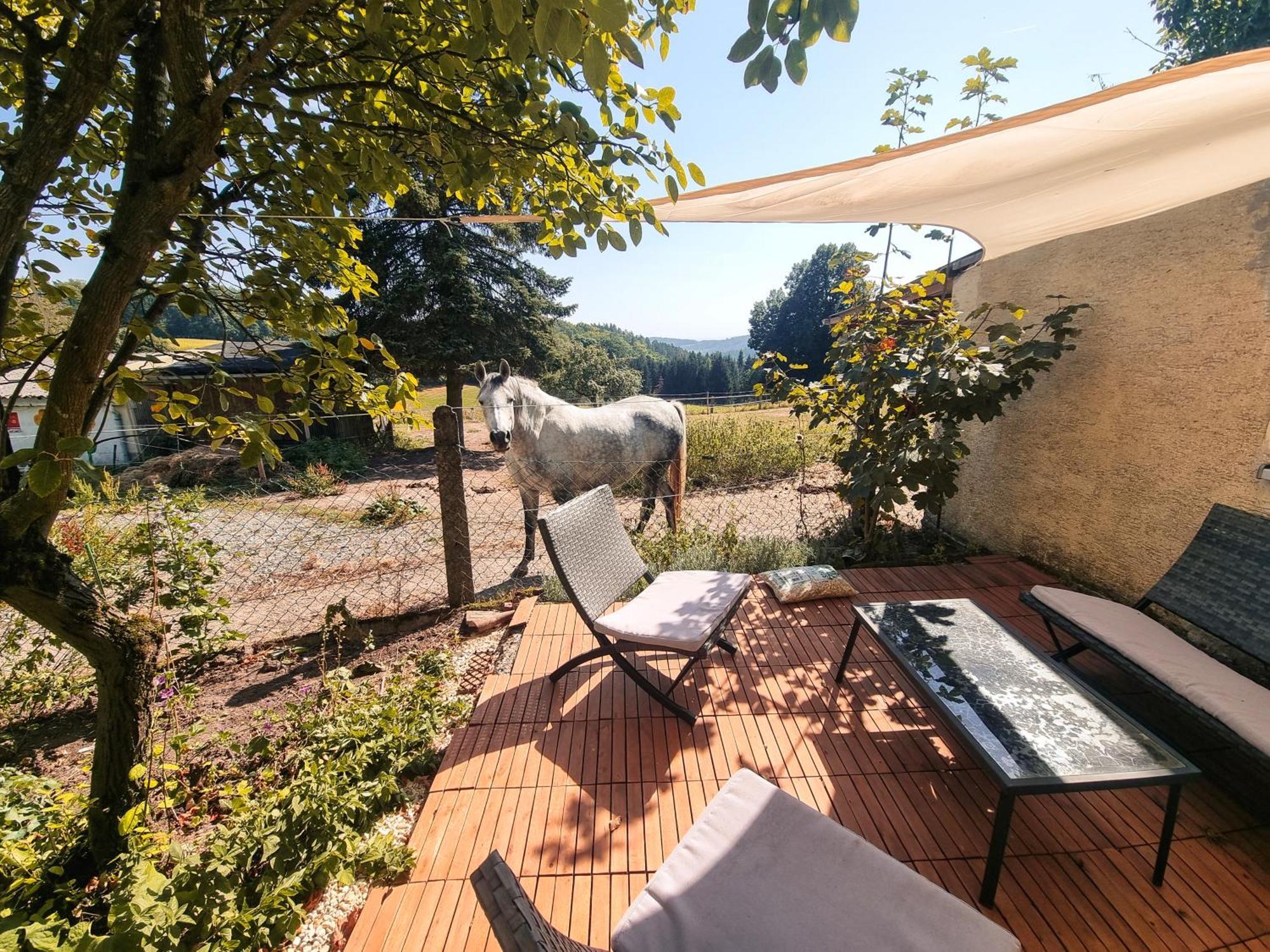 2 Zimmer Wohnung Mit Traumhaftem Blick In Die Natur Neustadt bei Coburg Exterior foto